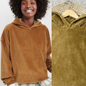 Aerie Corduroy Hoodie in Brown